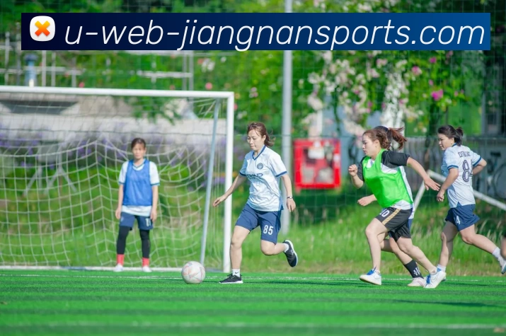 多媒体互动体验